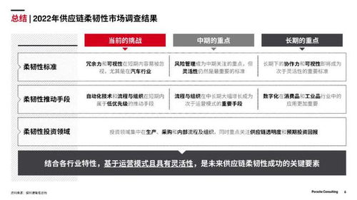 供应链柔韧性2022中国市场调研分析报告